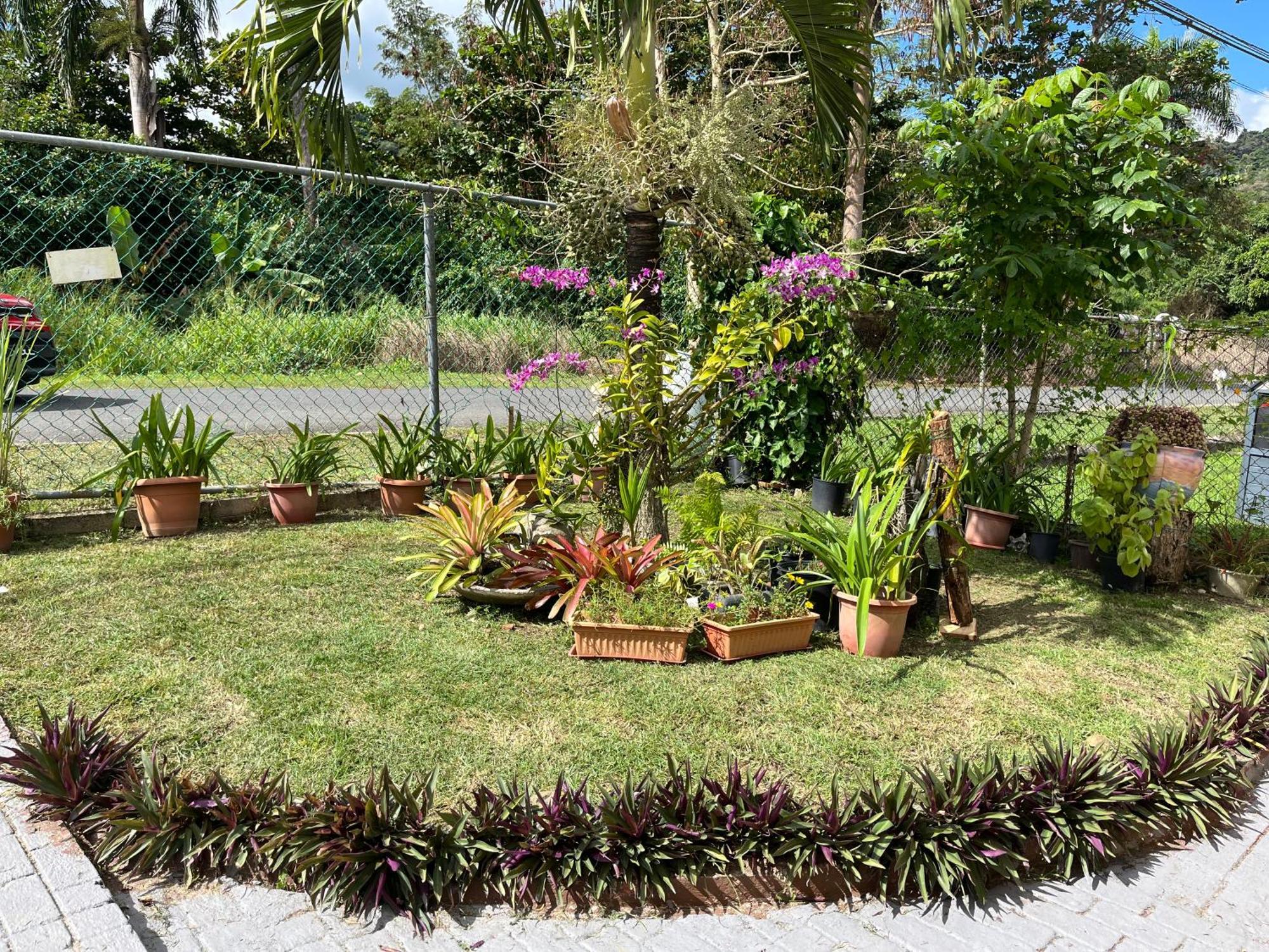 Gavidias Guest House San Lorenzo Ngoại thất bức ảnh